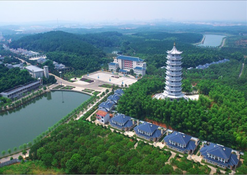 湖北：用好“一张图” ，，，，智治有支持