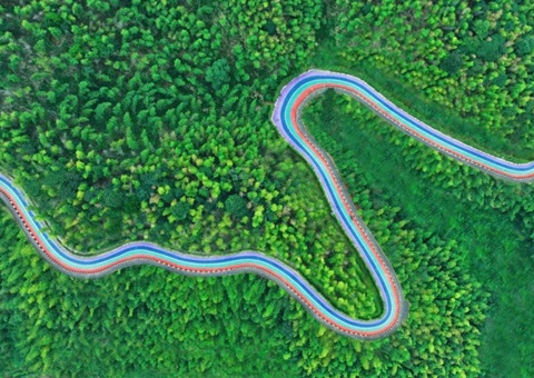 组合供应出新招，，，，竹海收益节节高——桃江县“桃花江竹海”自然资源资产组合供应推动生态产品价值实现案例